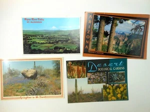 4 Vintage Arizona Postcards Gran Canyon Mt McLoughlin Botanical Gardens - Foto 1 di 5