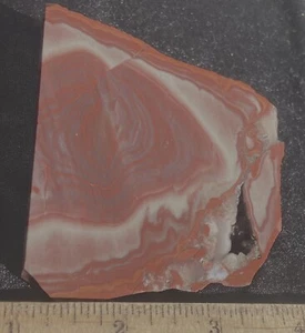 Goldfield Rhyolith bunte saubere Platte 68 Gramm - 2,4 Oz Nevada - Bild 1 von 7