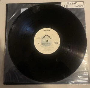 Gabrielle, Maxi-Single, 12", VG+, Rise *House* - Picture 1 of 2