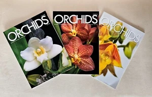 ORCHIDEEN ZEITSCHRIFT - SAMMLERSTÜCK KONVOLUT 3 - Bild 1 von 11
