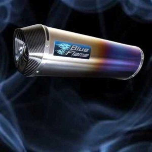 Benelli Leoncino 500 BJ Exhaust Silencer Muffler - Carbon Tip - Coloured Tita... - Picture 1 of 3
