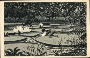c.1910s FIDUS Art Nouveau Postcard; LILYPADS; Victoria Regia, Carbon-Coal MINT - Bild 1 von 2