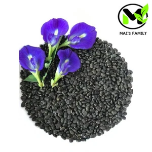 Butterfly Pea Seeds (Clitoria Ternatea)- Hoa Đậu Biếc - Organic - Picture 1 of 5