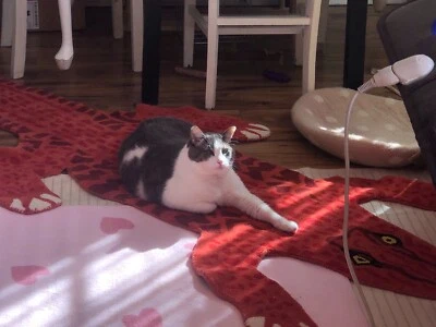 Red Crocodile Hand Tufted Carpet - Image 1 of 4