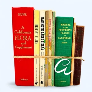 Lot of 10 Vintage CALIFORNIA Books Gold Rush History Flora State Staging Decor - Picture 1 of 14