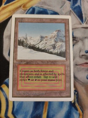 Taiga MTG Unlimited Rare Land Heavily Played x1 GG3 - Image 1 of 4