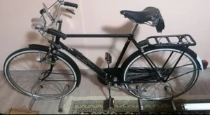 Raleight Bicicletta Uomo Limited Edition Anni 70 Restauro Conservativo Rara - Foto 1 di 6