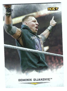 DOMINIK DIJAKOVIC 2020 TOPPS WWE UNDISPUTED CARD - Bild 1 von 1