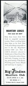 Big Indian Mountain Club 1942 Nueva York bienes raíces ilustrado vintage anuncio impreso - Imagen 1 de 7