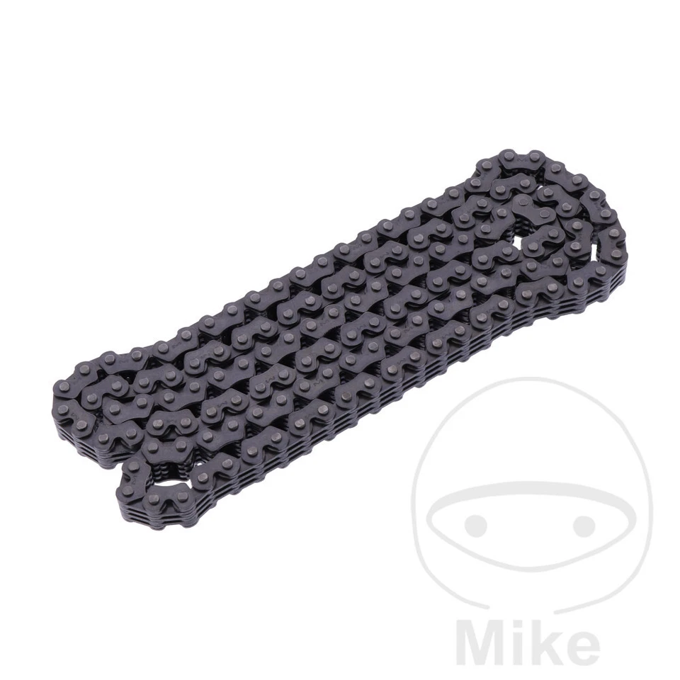 Cadena de levas sin fin BorgWarner para Triumph Tiger 1050 SE ABS 2011-2013 Foto 1 de 1