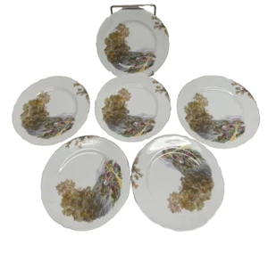 Shelley Small Plates Bone china Heather Set of 6 Vintage - Picture 1 of 8