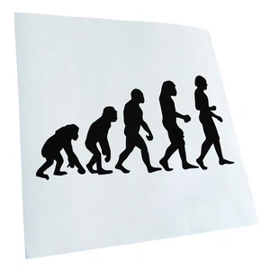 Autoaufkleber Evolution Charles Darwin Selbstklebend Fahrrad LKW - Picture 1 of 182