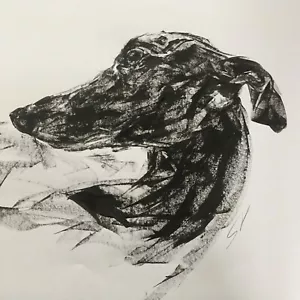 Original signed Ink drawing of a Whippet Greyhound Lurcher A2 Approx - Picture 1 of 11
