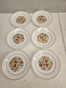 (6) Corelle Indian Summer Floral 6 3/4” Dessert Bread Plates Corning Vintage - Picture 1 of 11