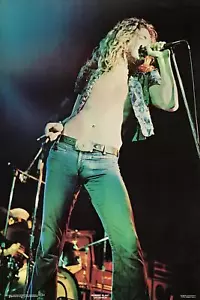 Poster vintage originale 1973 Led Zepplin Robert Plant 22x34 - Foto 1 di 1