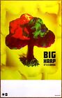 Big Harp It's A Shame Ltd Ed Rare New Tour Poster + Bonus Indie Folk Rock Poster