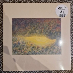 Sofie Birch & Antonina Nowacka - Languoria / Vinyl LP limited edition - Picture 1 of 4