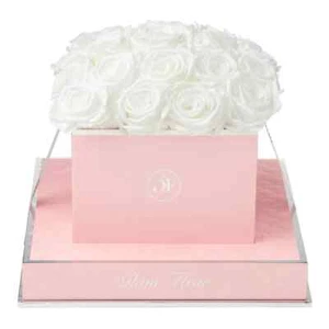 Real Preserved Square 18-21 Roses Rosé – Last 12+ Months – Luxury Gift - Picture 1 of 13