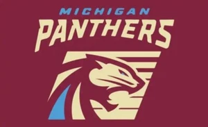 MICHIGAN PANTHERS - Bandiera/Striscione Deluxe Outdoor 3'x5' - UFL - SPEDIZIONE VELOCE! - Foto 1 di 1