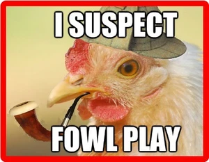 Chicken Fowl Play Refrigerator  / Tool Box /  Magnet  - Picture 1 of 1