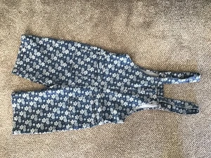 Run And Fly Dungaree Shorts - Picture 1 of 3