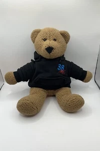 Elliot Sadler #38 NASCAR Bear Hoodie Stuffed Animal Racing Action Sports Image - Picture 1 of 7