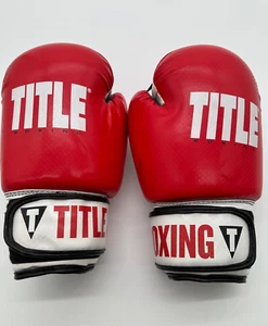 Title Boxing Gloves Pro Style “Hit It Hard” Training Gloves - Used -Size L, - Picture 1 of 5