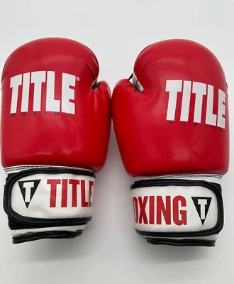 Title Boxing Gloves Pro Style “Hit It Hard” Training Gloves - Used -Size L, - Image 1 of 4