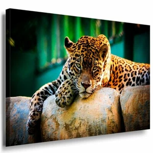 Leopard Leinwandbild AK Art Bilder Mehrfarbig Wandbild Kunstdruck Wanddeko XXL - Bild 1 von 2