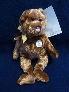 Ty Beanie Baby United States 2002 Fifa World Cup Champion Hang Tag NEW - Picture 1 of 6