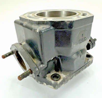 94-98 ARCTIC CAT EXT 580 PANTERA POLVO ESPECIAL ZR CONJUNTO CILINDRO 3004-457 Foto 1 de 3