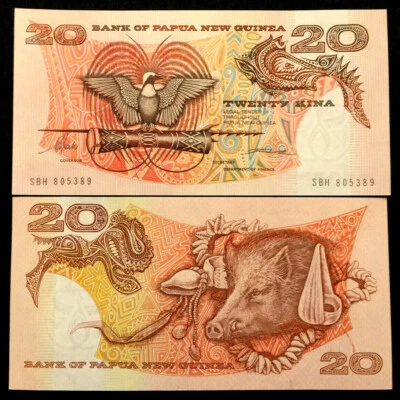 Billete de 20 kinas de Papúa Nueva Guinea 1989-2001 moneda mundial UNC Foto 1 de 3