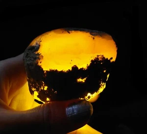 ¡¡¡INCREÍBLES AMONITAS!!! TAPA DE PIEDRA DE JABÓN PULIDA, DE JAVA, INDONESIA, 55 MM - Imagen 1 de 7