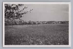 Dünsbach Gerabronn 1953 - Frühling Koppel Felder - Altes Foto 1950er - Picture 1 of 2