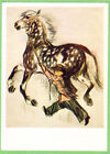 V.Lebedev 1959 Russian Postcard Boy And Pinto Horse To S.Marshak's Poetry