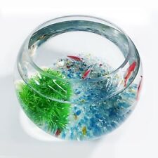 Glass Betta with Decor, Mini High Clear Fish Tank Kit with 2pcs Fish Bowl