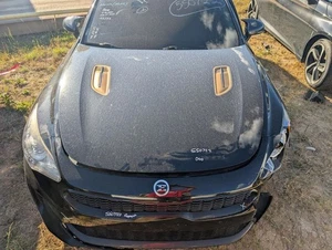 STINGER   2018 Headrest 271892 - Bild 1 von 12