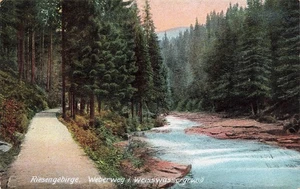 AK Riesengebirge Weisswassergrund Bílé Labe Weberweg 1917 Schlesien Postkarte - Picture 1 of 2