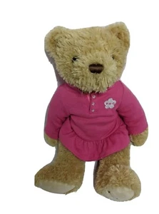 FAO Schwarz Toys R Us 14 Zoll Teddybär Plüsch in rosa FAO-Kleid - Bild 1 von 10