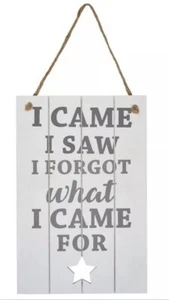 I came I saw I forgot what I came for Wooden Hanging Sign Humour Funny Gift - Picture 1 of 1