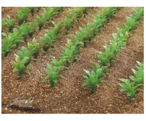 Juweela Field Earth (app.100g content, very productive) - Bild 1 von 1