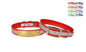 WARNER SPORT REFLEKTIERENDES DAYGLO HUNDEHALSBAND ROT 19" KOSTENLOSE GRAVUR AUSWEISSCHILD - Bild 1 von 5
