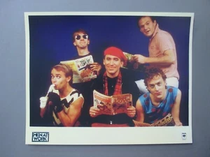 Men At Work Full Color 8 X 10 glossy promo photo Down Under ! - Picture 1 of 1