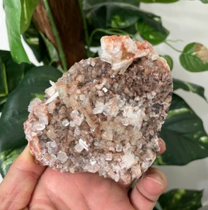 Green Apophyllite Natural Cluster AP487a - Bild 1 von 4