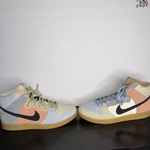 Size 11.5 - Nike Dunk Pro SB High Spectrum - Picture 1 of 7