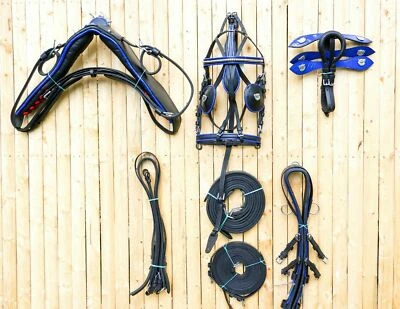 Full Size Black Horse Patent Leather Driving Harness Set Black With Blue Trim - Image 1 of 4