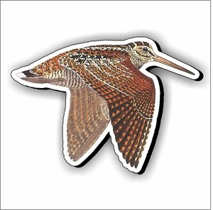 adesivo beccaccia dog car decal sticker aufkleber autocollant pegatina - Foto 1 di 1