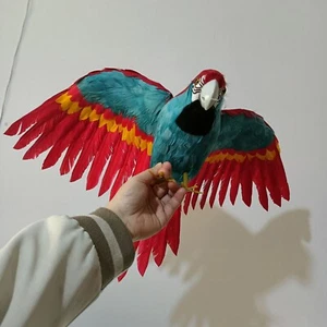 simulation red&blue wings foam&feather parrot model bird doll gift 42x60cm - Picture 1 of 4