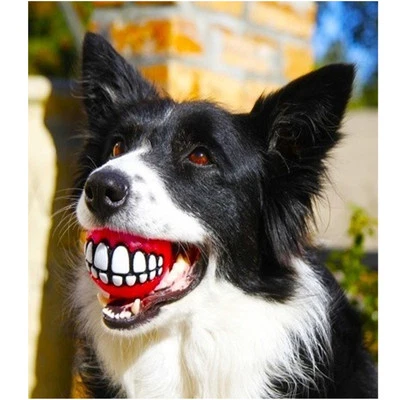 1 GRINZ BALL MEDIUM Funny Smile Dog & Puppy Rubber Treat Fetch Ball Toy -FLOATS  - Image 1 of 4