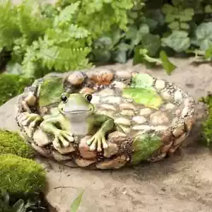Happy Frog Tabletop Birdbath and Feeder - Resin Decorative Ornament for Garden - Picture 1 of 4